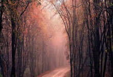 雷火电竞在线平台-关于利物浦逆袭马德里竞技，晋级欧冠四强的信息