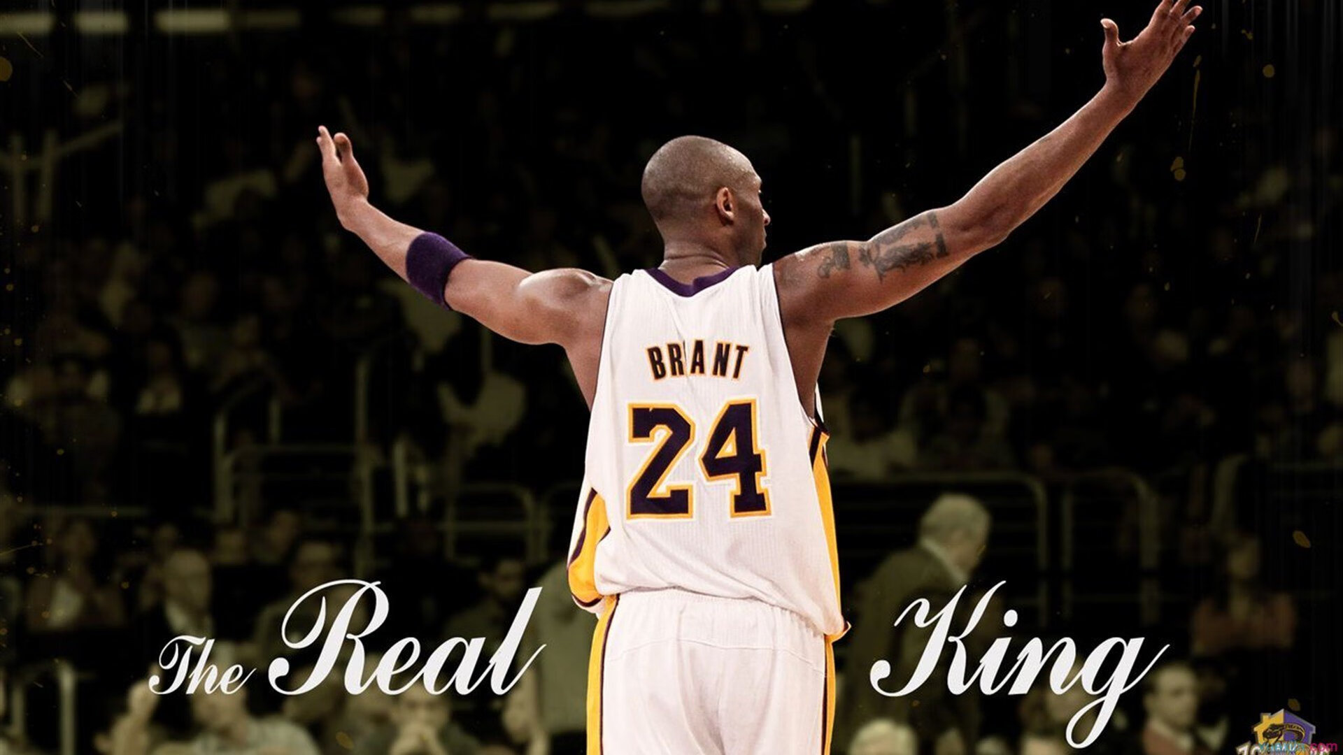 王皓扛起全队，法国队轻取波兰背后的战术革命与领袖崛起